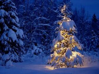 Tree Wallpaper Christmas