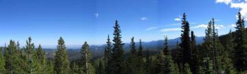 Colorado Forests Linkedin Background Get Some