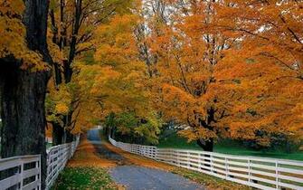 Autumn Desktop Wallpaper Best Design Options Hq
