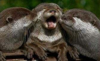 One Of The Cutest Pics Ever