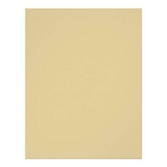 Plain Beige Background Flyer