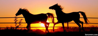 Image Horse Cover For Timeline Wallpaper Photos
