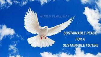 International World Peace Day Dove 4k UHD Wallpaper HD