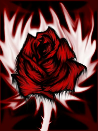 Bloody Rose Wallpaper By Jigokusorry