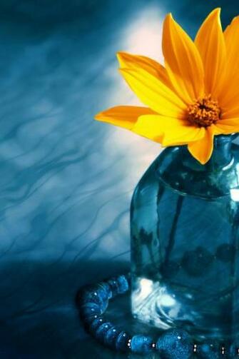 Flower Wallpaper HD iPhone Gallery