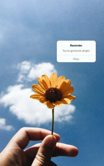 Sunflower Aesthetic iPhone Wallpaper