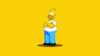 The Simpsons Homer Simpson Wallpaper HD Desktop And