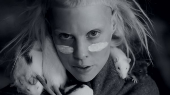 Die Antwoord Wallpaper