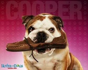 Hotel For Dogs Wallpaper Desktop