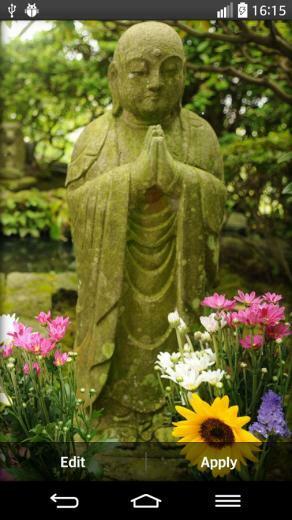 Zen Garden Live Wallpaper Android Apps On Google Play
