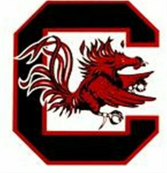 South Carolina Football Wallpaper Snap