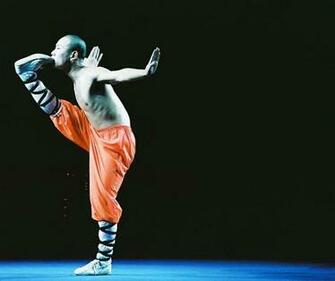 Shaolin Monk Wallpaper By Dijabolik