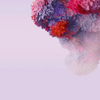 Samsung Galaxy S20 Wallpaper Members