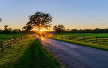 Wallpaper Road Forest Rays Trees Sunset Nature Park Sunrise