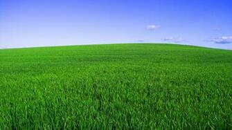 Deep Green Spring Desktop Pc And Mac Wallpaper