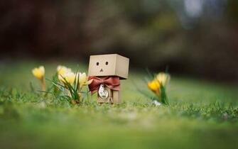 Danbo Pkmnkats Hobbies Wallpaper