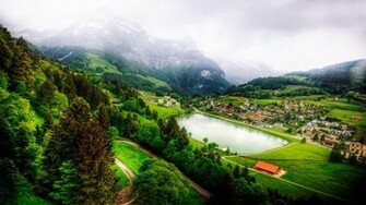 Nature Green Way Wallpaper