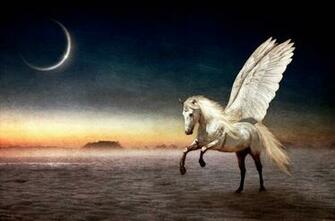Pegasus Wallpaper