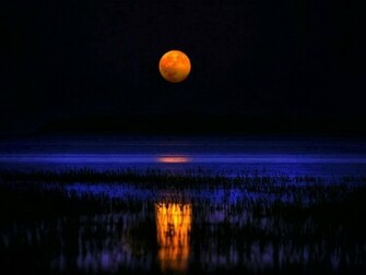 Moonlight Wallpaper Beautiful Pictures
