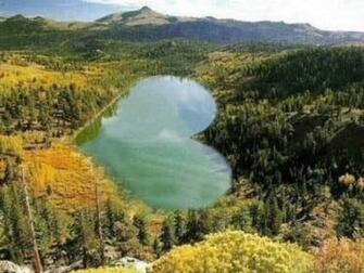 Love Nature Wallpaper