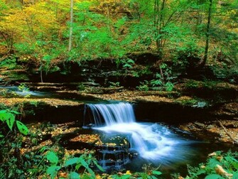 Wallpaper Waterfalls And Desktop