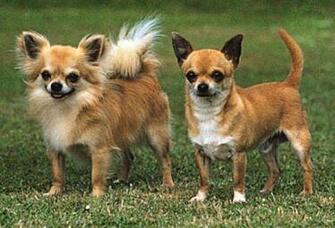 Photo From Encyclopedia Britannica