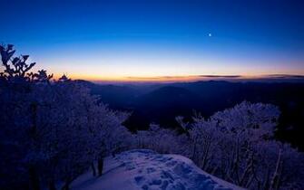 Wallpaper Sunset Mountain Arizona Snow Tree Usa Desktop