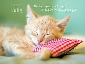May Rest Desktop Calendar Monthly Calendars Wallpaper