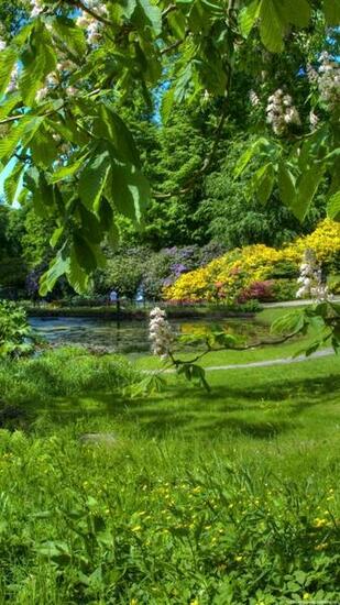 Flowers Spring Garden Green iPhone Wallpaper HD And