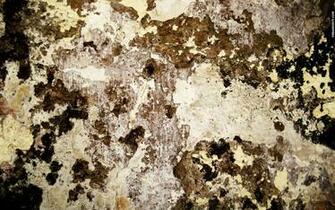 Dirty Wallpaper Top Collections Of Pictures Image