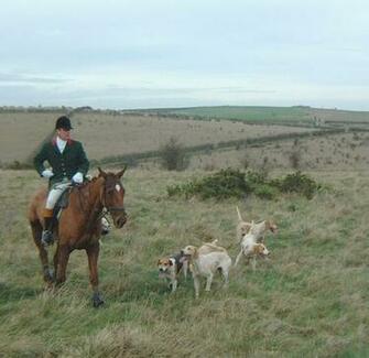 Huntsman And Whipperin Casting The Dogs To Pick Up Fox Scent 72kb
