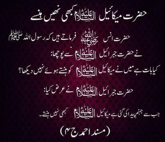 Top Amaizing Islamic Desktop Wallpaper Quotes In Urdu
