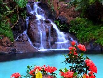 Animated Waterfall Wallpaper