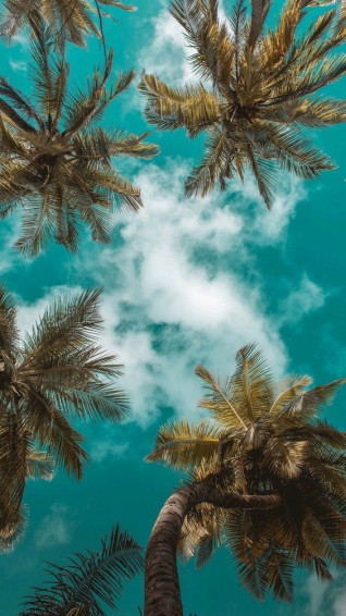 Ring In Summer With These Cute Phone Wallpaper