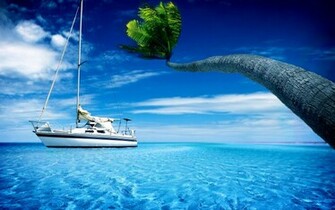 Url Wallpup Wallpaper Best Palm Ocean Html