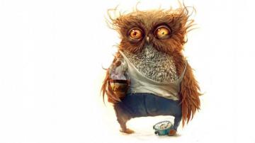 Funny Owls Wallpaper