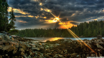 Sun Rays HD Wallpaper