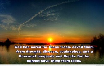 Wallpaper Nature Quotes And Image HD