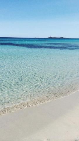 Clear Water Sea iPhone Wallpaper