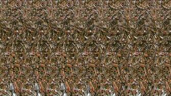 Stereogram Wallpaper