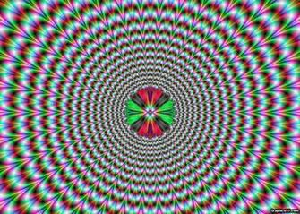 Nowhereelse Optical Illusions Urdjuret