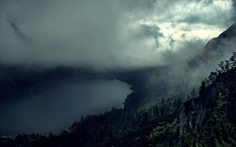 Foggy Forest Wallpaper HD