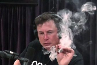 Reefer Madness Wallpaper