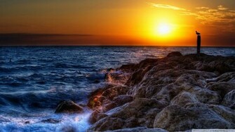 Pelicans Seascape Wallpaper