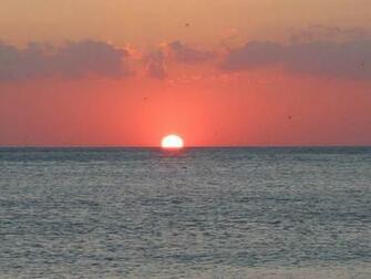 Siesta Key Beach Information Beaches Tattoo Design