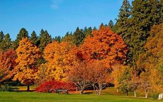 Autumn Colours Wallpaper Stock Photos