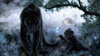 Jaguar HD Wallpaper Photos