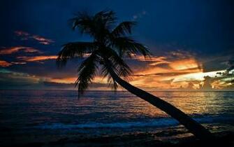 Sunset Screensavers Id