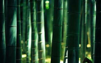 Beautiful HD Wallpaper For Your Android Phone Appstorm
