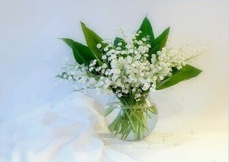 Lily Of The Valley Wallpaper